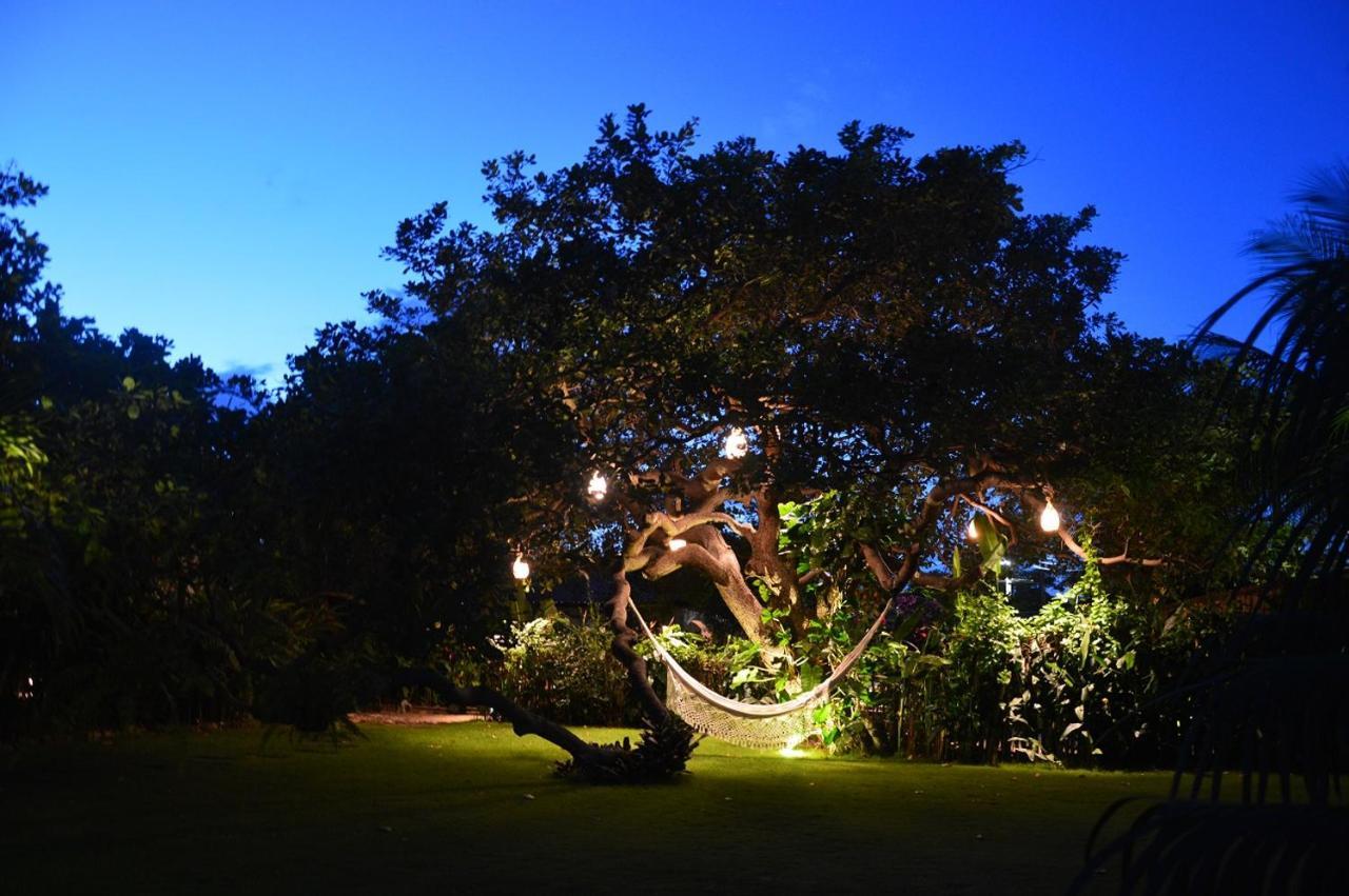 Guest house Chill Mango